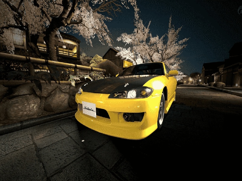 母猫试管婴儿（做试管老公哭了）