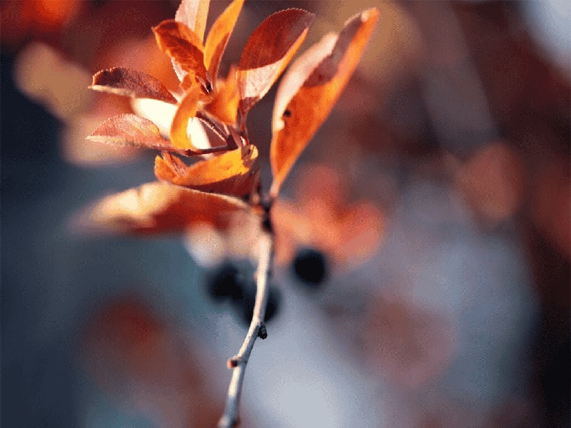 试管如何求体积（生育镜微创技术费用）