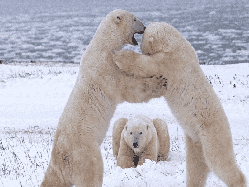 174医院厦门试管（试管b超1.0）